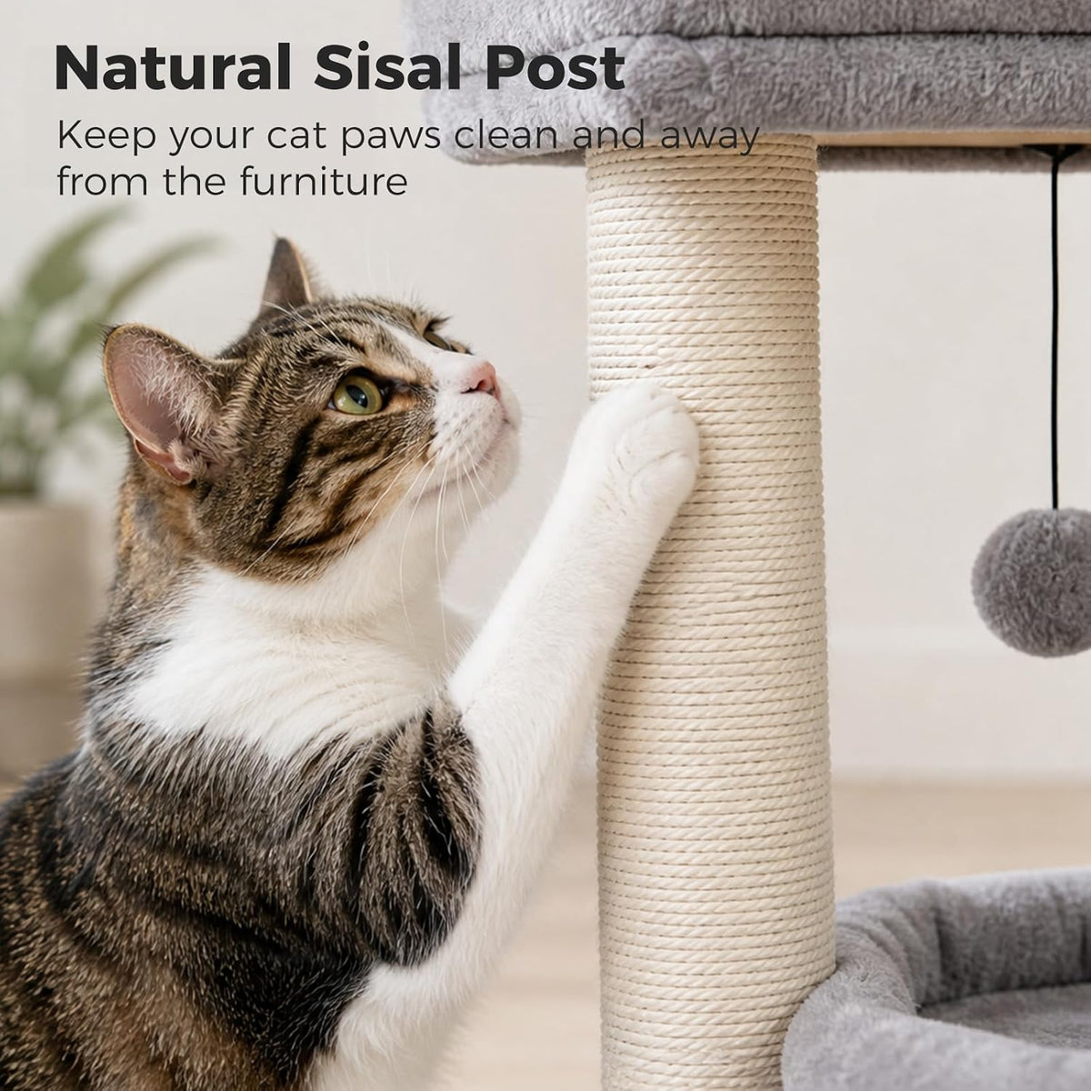 PEQULTI Small Cat Tree Tower for Indoor Cats - Grey / M(15.7"L x 15.7"W x 26.7"H) - image 3