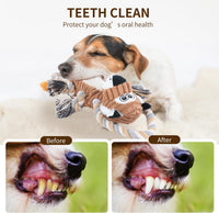 Squeaky Monkey Dog Toy for Large Dogs – Essentials for Dogs - Lion Shape - image 4