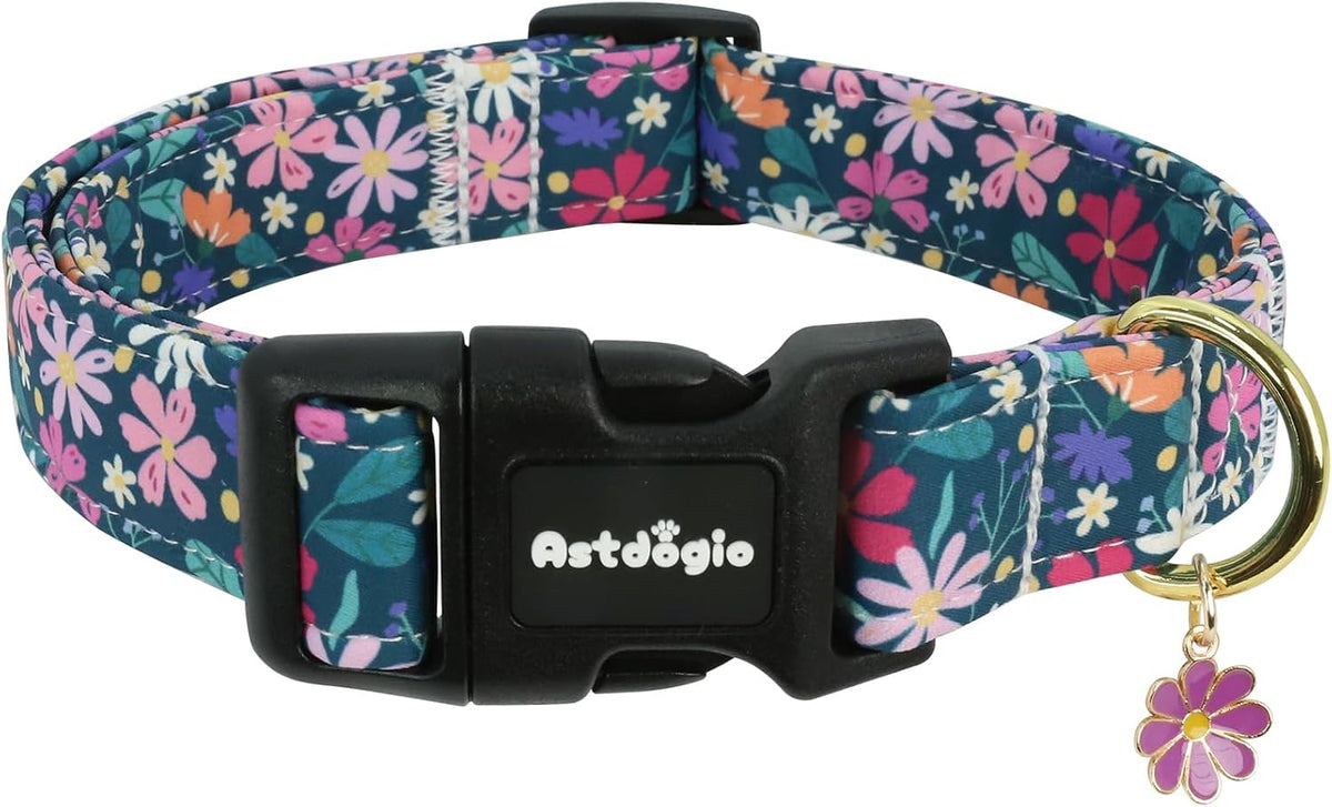 Medium Dog Collars for Male Dogs - Dark Night Purple Floral / S