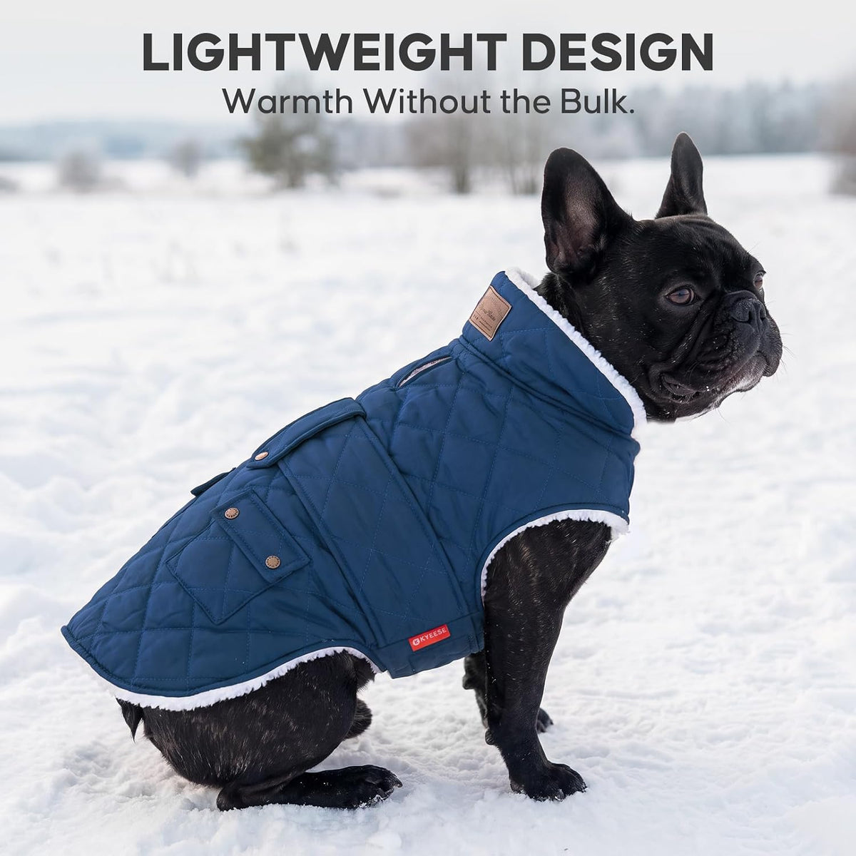 KYEESE Waterproof & Windproof Dog Coat for Small Dogs Puffer Jacket – Essentials for Dogs - XX-Large / 01# Blue - image 3
