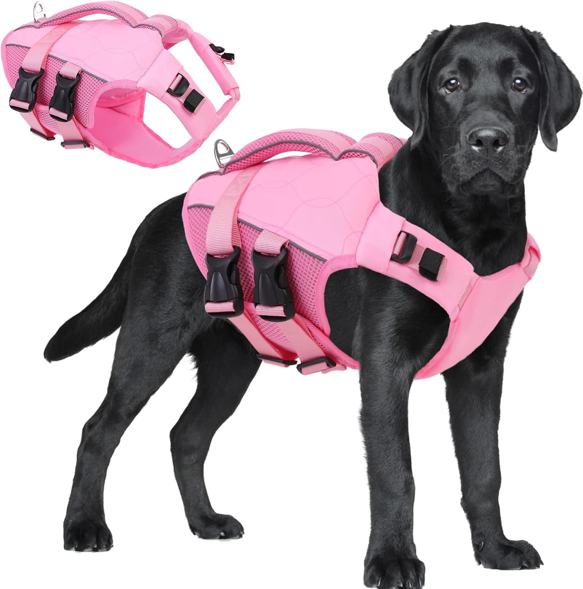 ASENKU Dog Life Jacket, High Floatation Dog Swimming Vest with Rescue Handles for Small Medium - Xx-large / LightPink