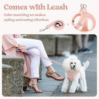 rabbitgoo Dog Harness Small Medium Sized and Leash Set, Step in Soft Light Puppy Vest, Breathable Mesh Pet Harness, Reflective for Safe Outdoor Walking, Pink L