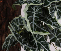 Fake Calathea Orbifolia, Reptile Terrarium Suction Plants – Essentials for Fish - Fake Alocasia Black Velvet - image 4