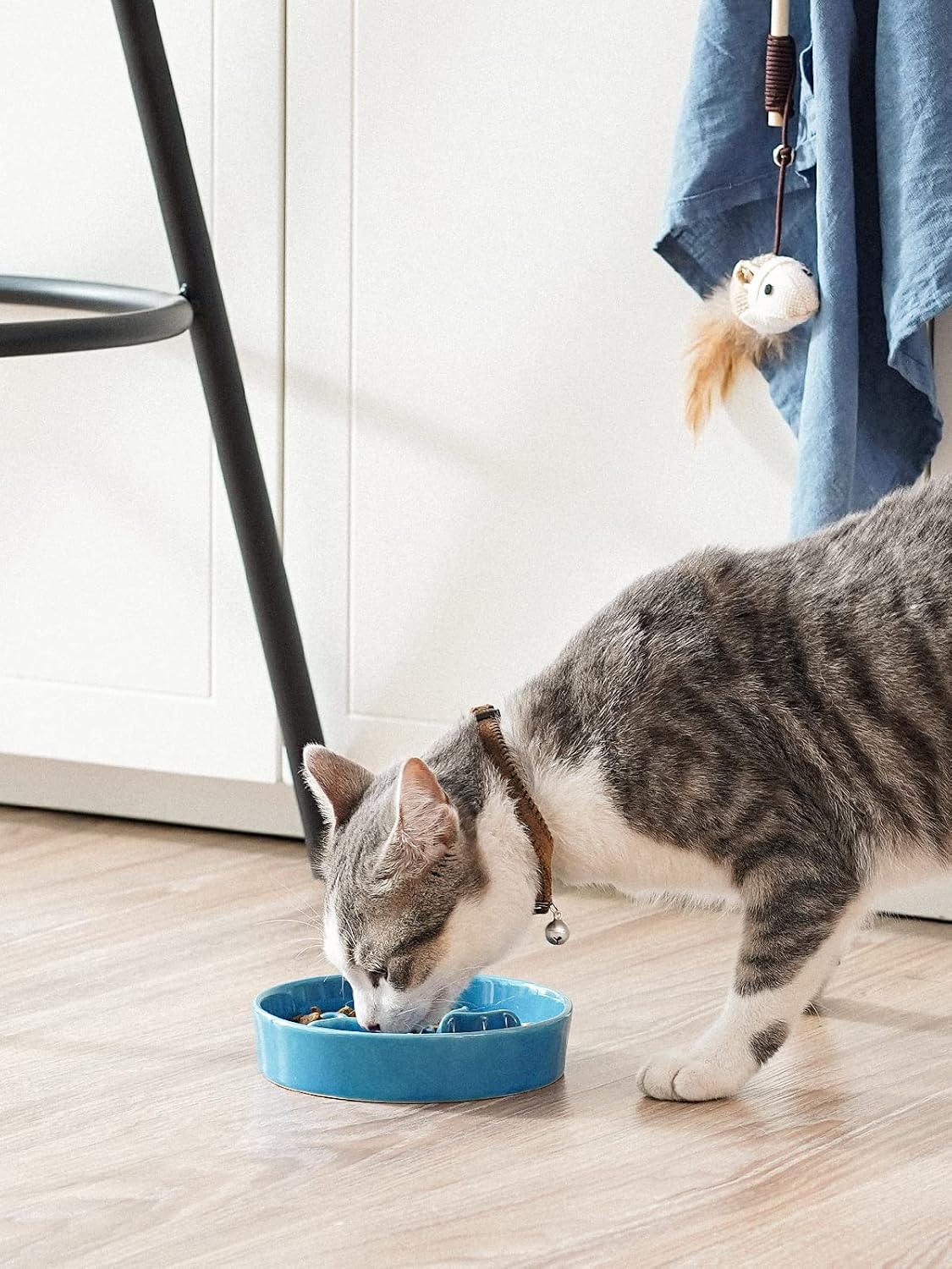 Ceramic Slow Feeder Dog Bowls Small Breed - Blue / S-0.5 Cups - image 2