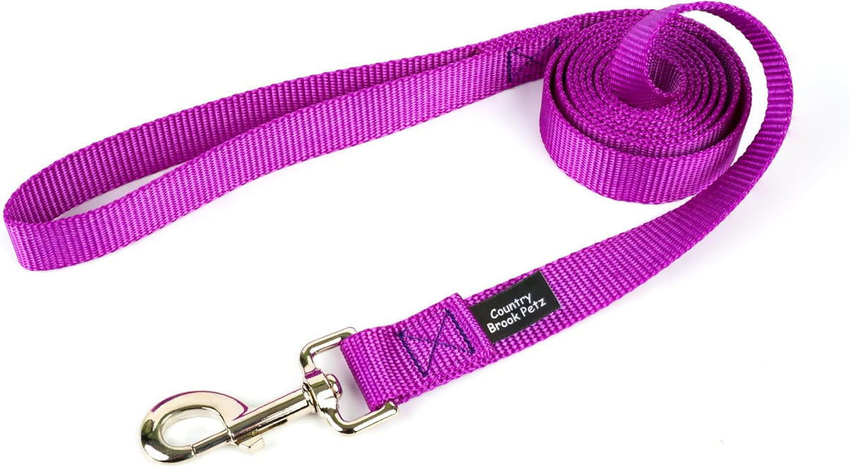 Country Brook Petz, Everyday Nylon Dog Leash - Bright Purple / 6 Foot X 1 Inch Wide (Pack of 1)