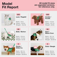 VETRESKA Flora Dog Harness, Leash and Collar Set - XS - image 2