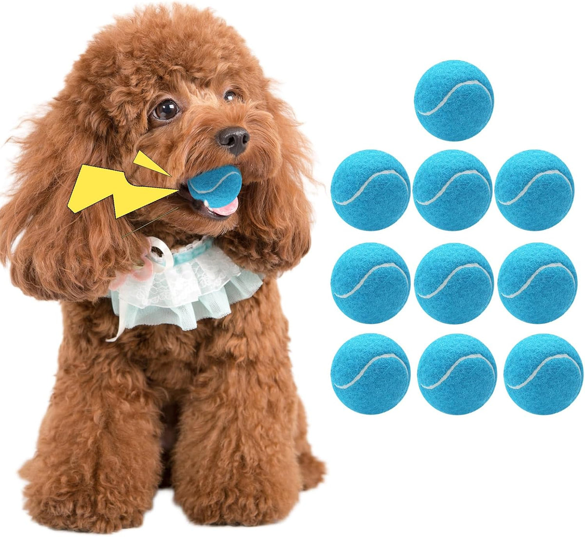 Magicorange 10 Pack Squeaky Mini Tennis Balls - 10 Pack / Blue