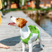 Dog Backpack Harness, No-Pull Dog Backpack with D-Ring, Frog, M - Green Frog / Large - image 2