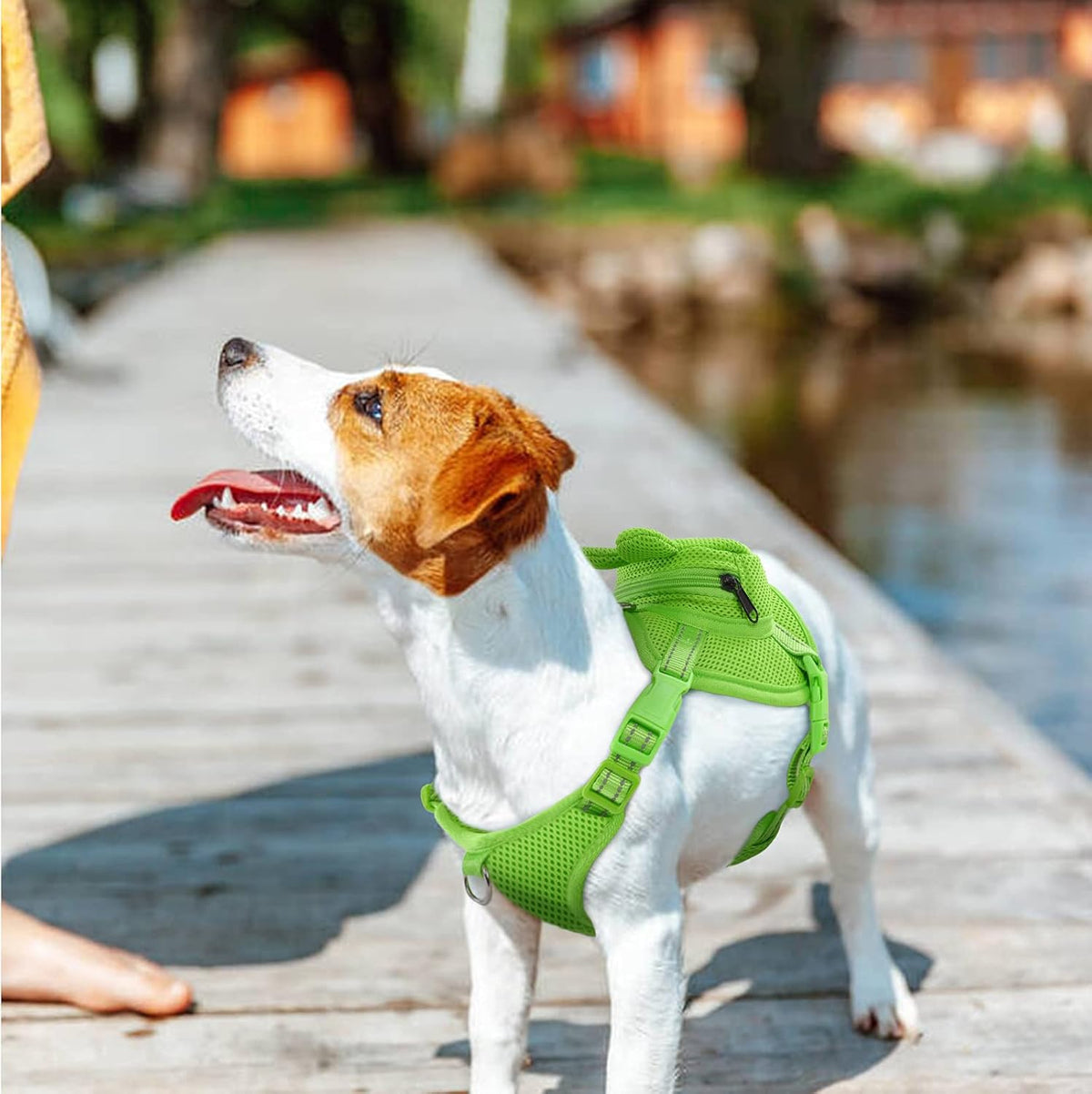 Dog Backpack Harness, No-Pull Dog Backpack with D-Ring, Frog, M - Green Frog / Large - image 2