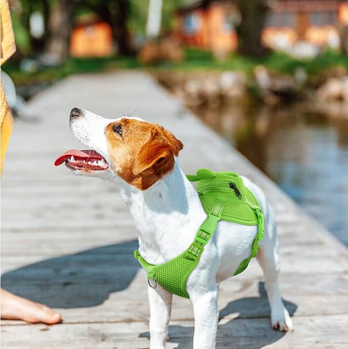 IDOMIK Dog Backpack Harness, No-Pull Dog Backpack with D-Ring for Small Medium Dogs, Cute Self Carrier Backpack for Dogs to Wear, Adjustable Doggy Backpacks for Traveling Camping Hiking, Frog, M