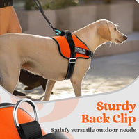 rabbitgoo Dog Harness for Large, Easy On Pet Vest with One Buckle, No Pull Adjustable Service Harness with D-Ring & Handle, Reflective for Safety Walking, Training, Orange, L