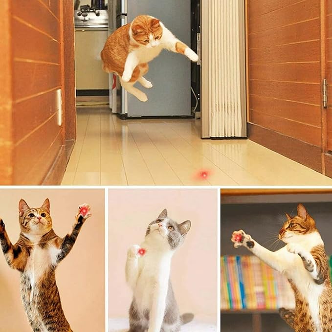 MEUSNO Red Laser Pointer Cat Toy, Red High Power Laser Pointer Long Range Strong Laser Light Pointer for Cats Dogs Toy Rechargeable Pointer Laser for Presentations Teaching Outdoor Cat Laser Toy