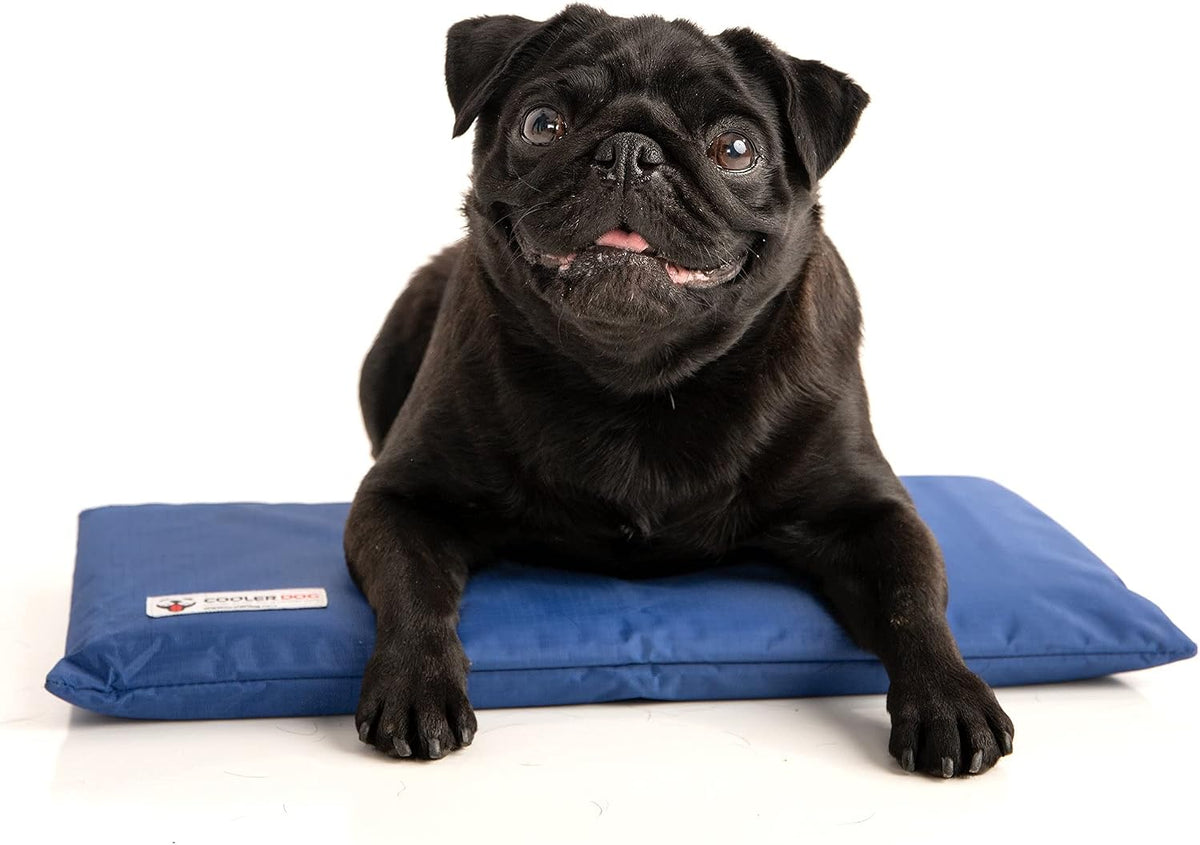CoolerDog Hydro Cooling Mini Mat for Dogs