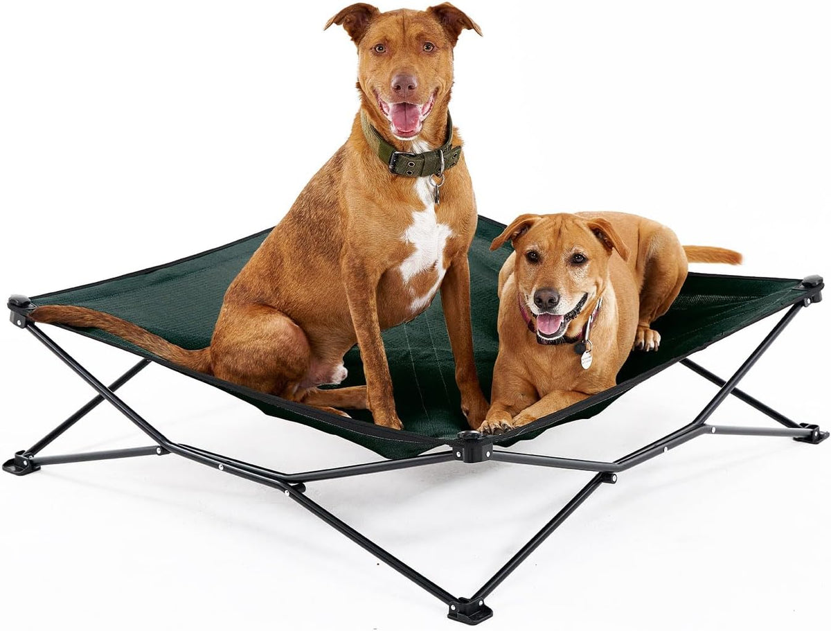 Coolaroo On-The-Go Elevated Dog Bed - King / Brunswick Green - image 2