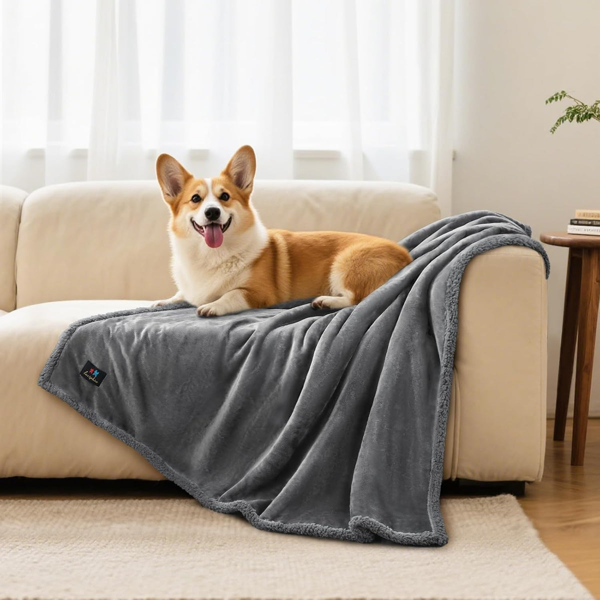 Luciphia Waterproof Pet Blanket - S (40" x28") / Light Grey - image 2