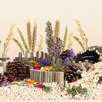 Natural Ear of Grain Flower&Herb Bedding Mate Habitat Decor - Wheat - image 4