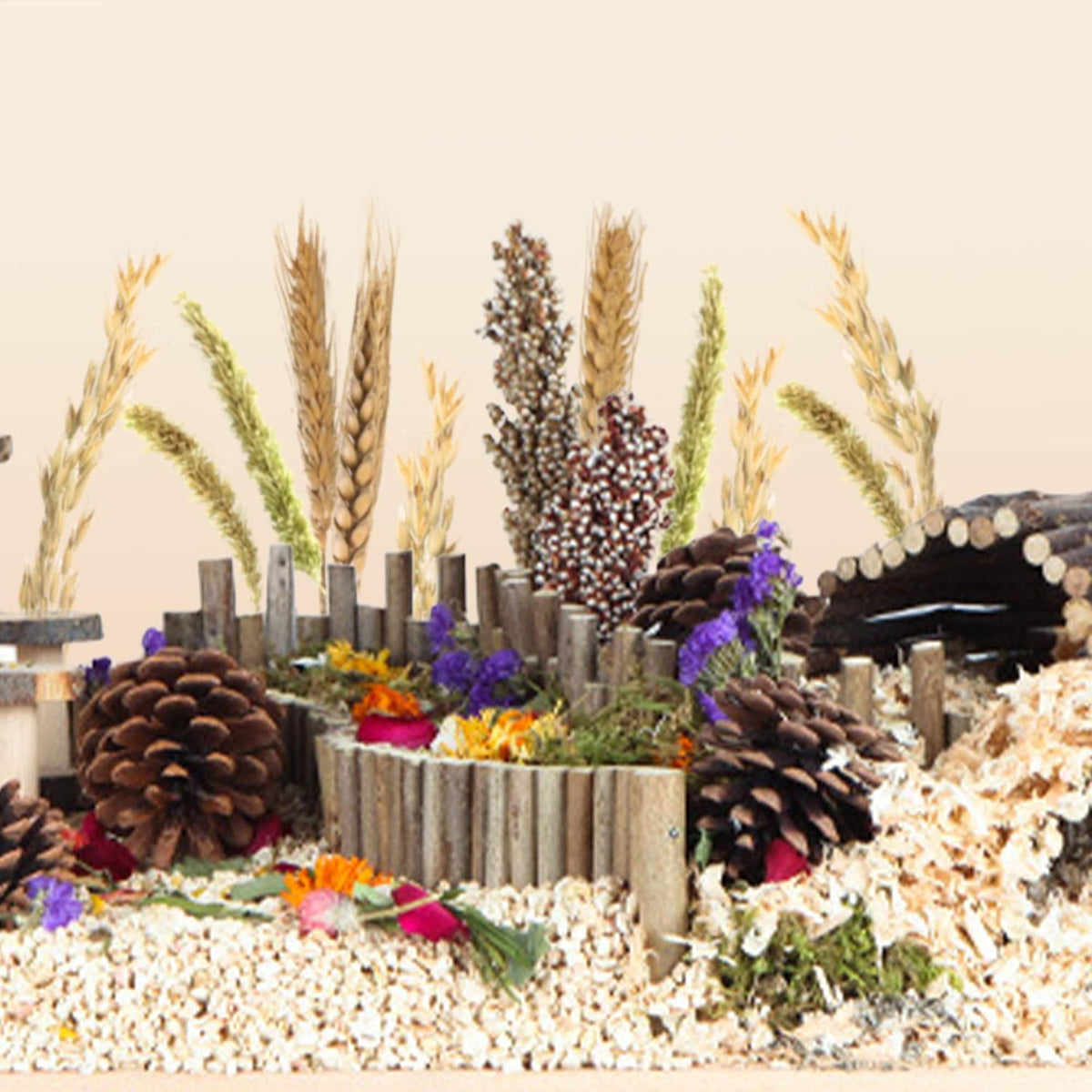 Natural Ear of Grain Flower&Herb Bedding Mate Habitat Decor - Wheat - image 4