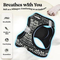 rabbitgoo Dog Harness Small Sized and Leash Set - Black Zigzag / Xxs (chest: 12.4 - 14.2") - image 4