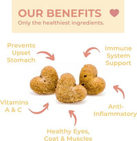 Sweet Potato Dog Treats Organic Grain Free Non-GMO Highly Digestible Dog Biscuits Made in USA (24oz)