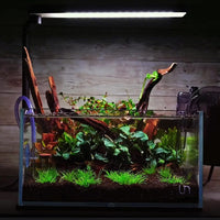 majoywoo Natural Driftwood for Aquarium Decor Fish Tank Decor Reptile - Mopani Driftwood 2 to 4.5 Inch (Pack of 10) - image 3