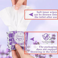 Tondiamo 200 Pcs Feminine Wet Wipes for Women Individually Wrapped Flushable Wipes Travel Size Soothing Personal Wipe Cleansing Natural Ingredients for Feminine Daily Use(Lavender)