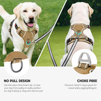 Timos Dog Harness, No Pull Large Sized with 3 Buckles - Small / Lock Khaki - image 3