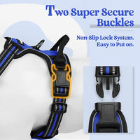 rabbitgoo Dog Harness No Pull with 2 Leash Clips, Adjustable Soft Padded, Reflective Oxford No Choke Pet Vest with Easy Control Handle for Medium Sized Dogs, Dazzling Blue, M