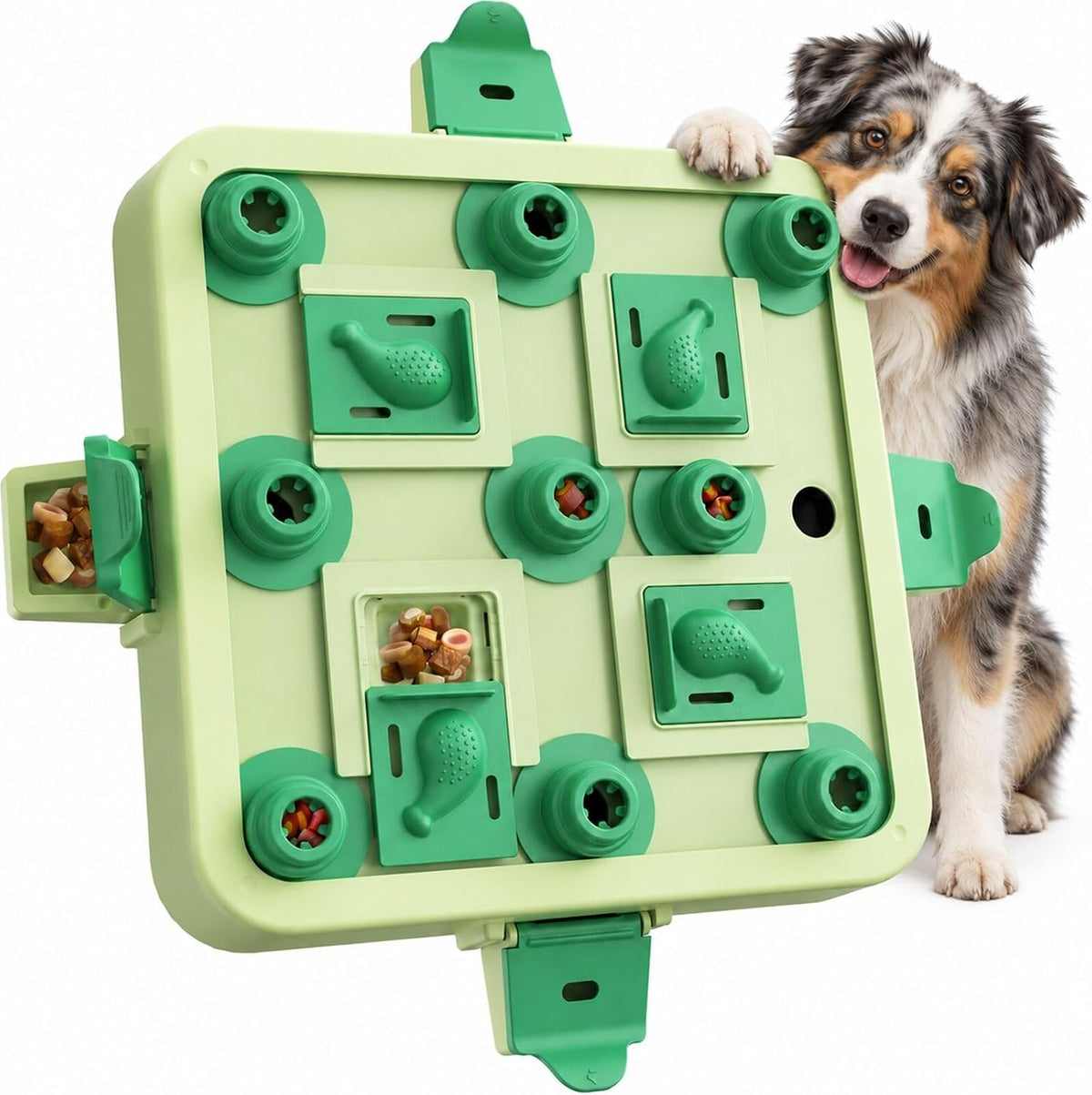 Dog Chess Puzzle Toy, 3-Levels - LEVEL 3 IN 1 / Green