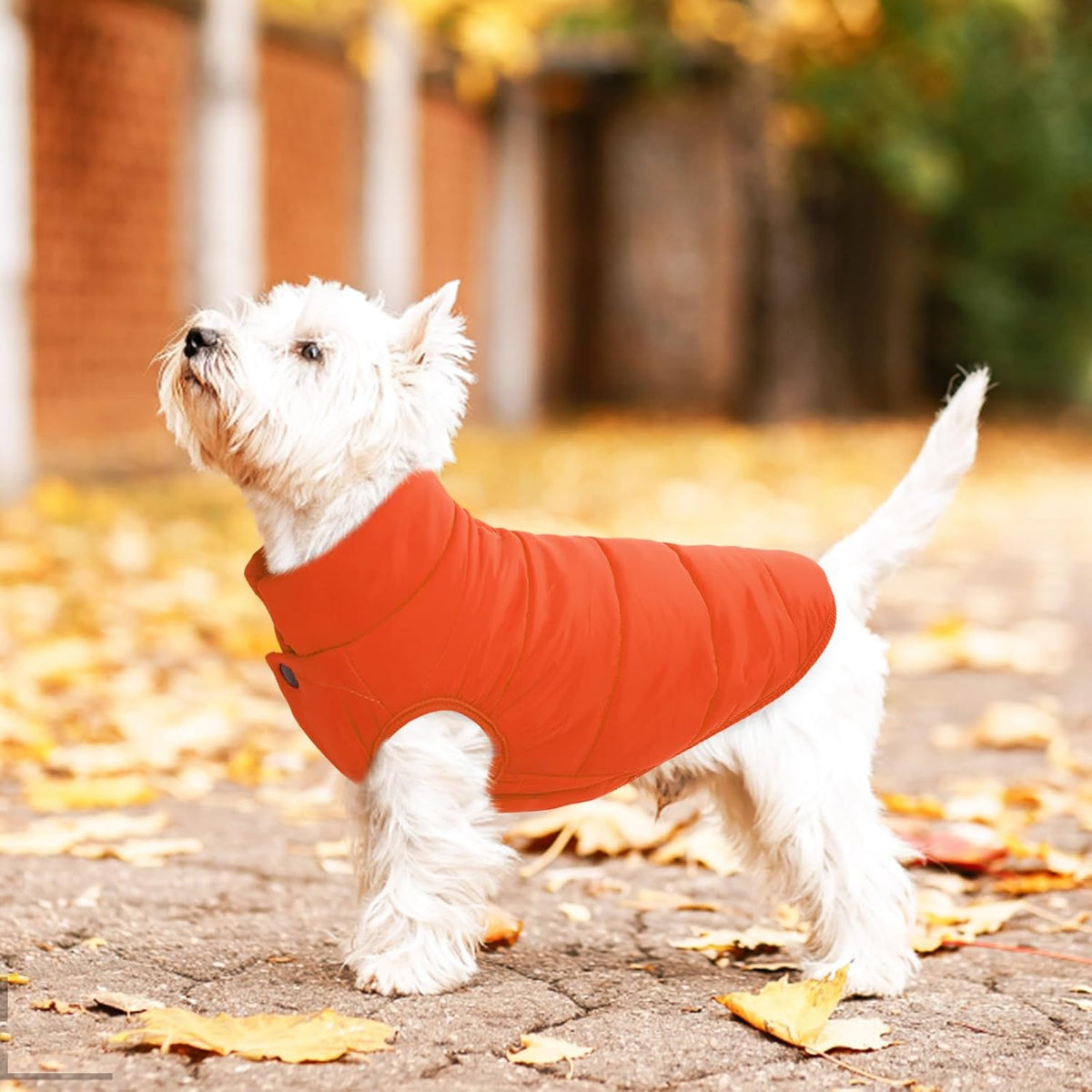 ASENKU Dog Winter Coat Dog Fleece Puffer Jacket for Small Medium - XXX-Large / Orange - image 4