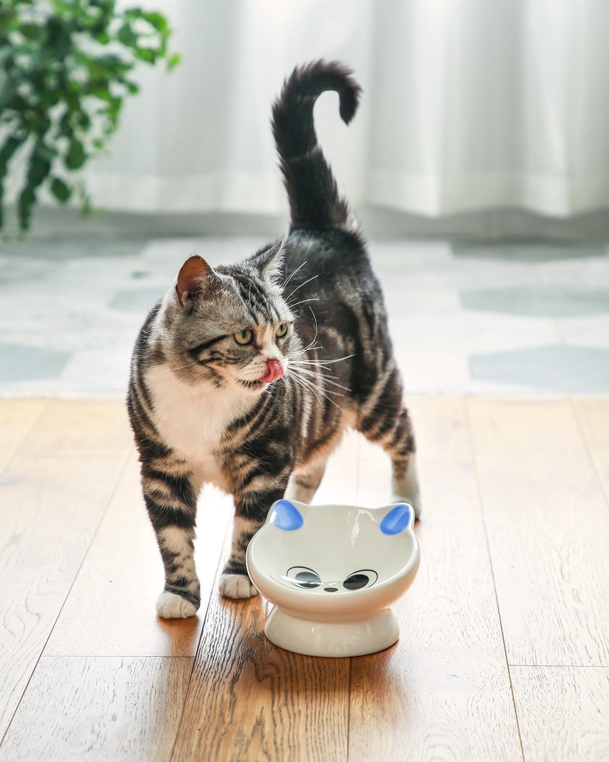 Raised Cat Food Bowl Ceramic 15° Tilted Cat Food Bowls Protect Cat's - Blue Ears / 1 - image 4