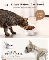 Raised Cat Food Bowl Ceramic 15° Tilted Cat Food Bowls Protect Cat's - Pink2P / 2 - image 3
