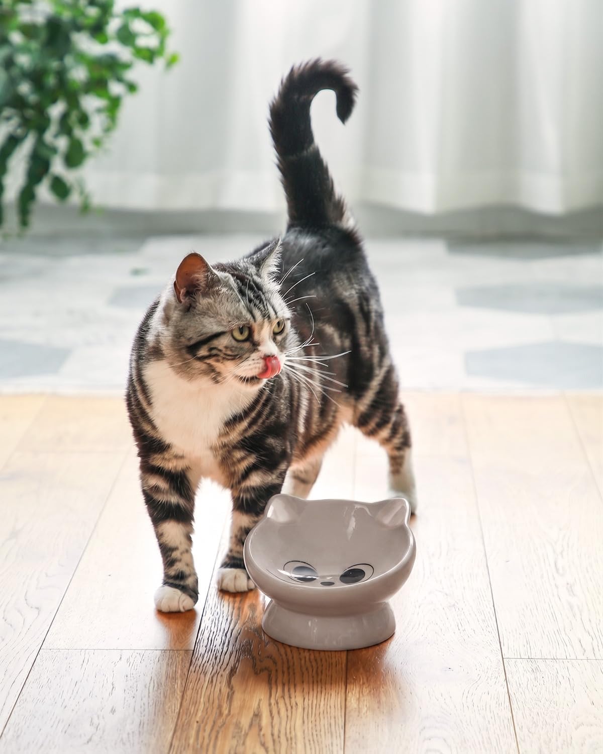 Raised Cat Food Bowl Ceramic 15° Tilted Cat Food Bowls Protect Cat's - FaceGrey-1P / 1 - image 4