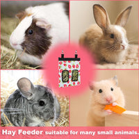 DZWLKJ 2 Pack Hay Feeders, Guinea Pig Rabbit Hay Feeder - Strawberry / S -10"x 8"x 0.4" - image 4