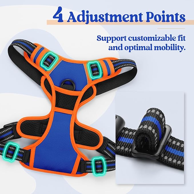 rabbitgoo Dog Harness No Pull with 2 Leash Clips, Adjustable Soft Padded, Reflective Oxford No Choke Pet Vest with Easy Control Handle for Medium Sized Dogs, Blue & Orange, M