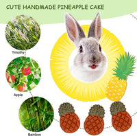 52Pcs Rabbit Chew Sticks, Guinea Pig Toys - 21Pack-small Set - image 3