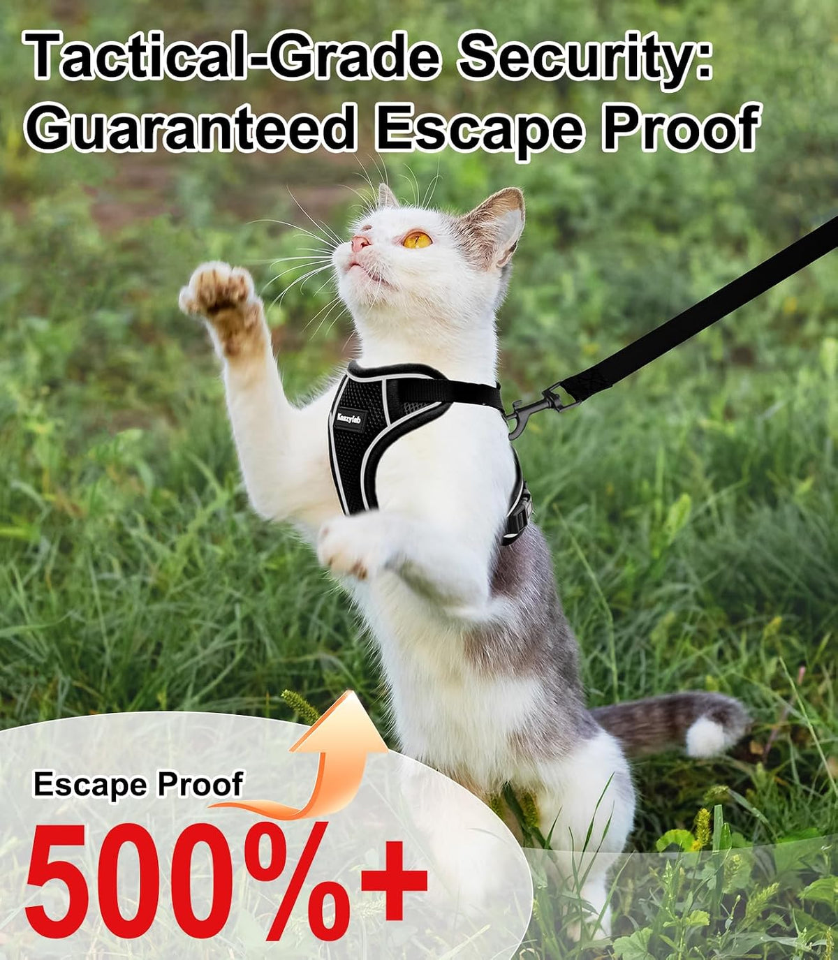Cat Harness and Leash for Walking Escape Proof Soft Adjustable Cat - Black / XS (4-6lb) - image 2