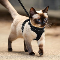 Cat Harness and Leash Set, Adjustable Cat Vest Harnesses – Essentials for Cats - Black / X-Small - image 4