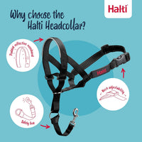 Halti Headcollar & Training Leash Bundle – Essentials for Dogs - Size 4 Head Collar - image 3