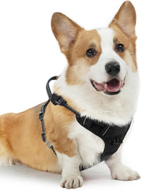 PUPTECK No Pull Halloween Dog Harness for Large - Black / Medium / Harness Only - image 2
