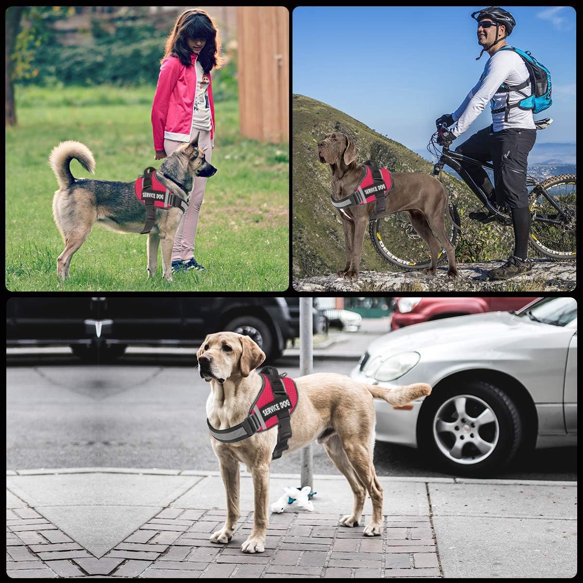 JSXD Dog Harness,No-Pull Service Dog Harness with Handle Adjustable Outdoor Pet Dog Vest 3M - XL / Red - image 3