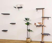 Wall Mounted Cat Shelves and Perches,Scratchable Cat Beds & Furniture for Indoor Cats, Soft PET Felt Feline Climbing Wall Set, Modern Jungle Gym System for Lounging and Sleeping (Set of 4-Grey)