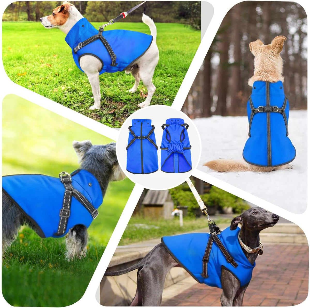 Dog Raincoat Waterproof Dog Hoodie Reflective Dog Raincoat Hooded - M / Blue - image 4