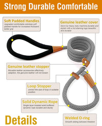 Dog Leash Slip Lead Braided Rope Pet Training Loop Leashes 5ft 6ft 8ft – Essentials for Dogs - Grey / Slip Lead-3/8in x 6ft Small - image 2