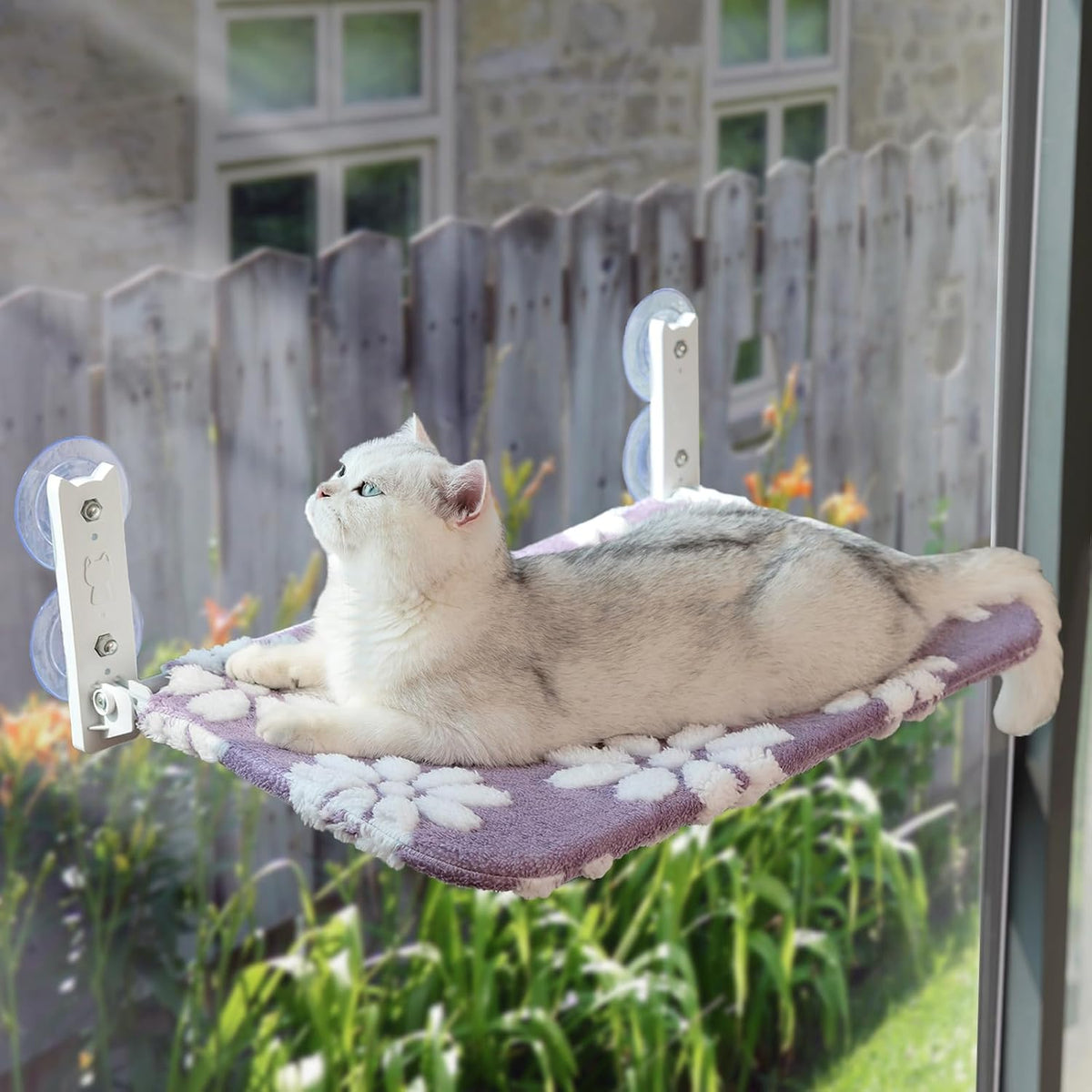 Cute Cat Window Perch, Foldable Cat Window Hammock, Purple – Essentials for Cats - Large (no mesh cover) / Purple Flower