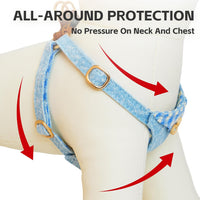 Puppytie XS Dog Harness and Leash Set, Denim Brown, XS – Essentials for Dogs - checked-blue / XXS(2.2-6lb) - image 4