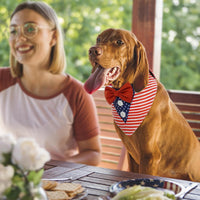 Dog Tuxedo for Small Dogs Valentines Bandana with Bowtie Wedding Tux – Essentials for Dogs - Independence Day / Large - image 4