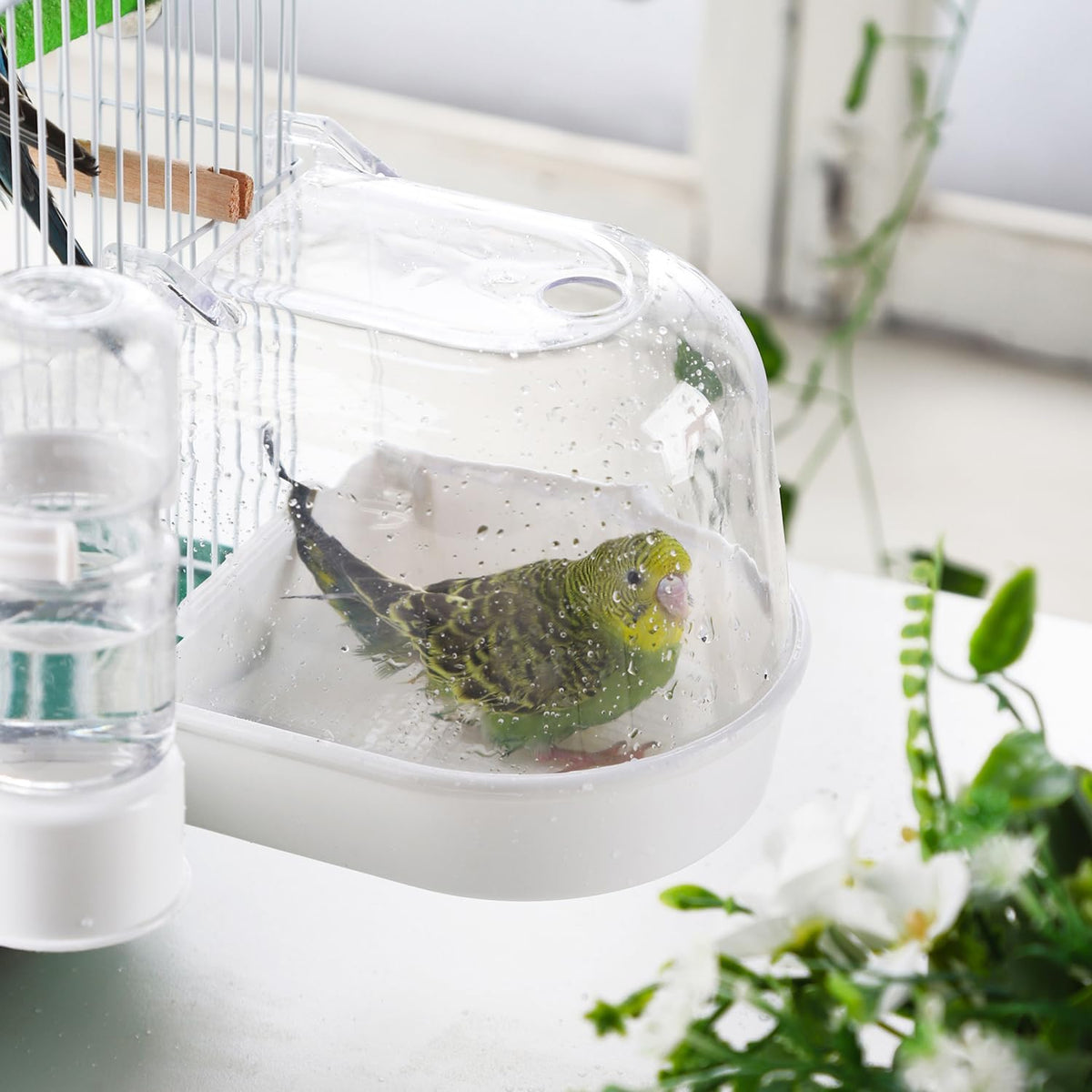 IBWell Clear Bird Bath for Small Birds Parakeet Cage Accessories - image 2