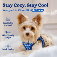 rabbitgoo Step-in Small Dog Harness - Blue Zigzag / Xs(chest:13.3"-15.5") - image 3