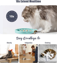 Coomazy Slow Feeder Cat Bowl Silicone Pet Puzzle Feeder for Slow - Cyan / 1.2 Cups - image 3