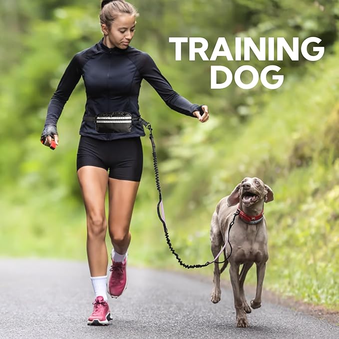 Hands Free Dog Leash with Pouch, Double Leash for Two Dogs, Retractable Bungee with Double Padded Handles, Dog Waist Leash for Dog Walking, Running Leash for Dogs, Dog Walking Accessories